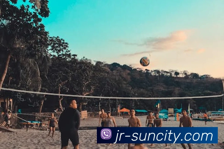 澳门太阳城娱乐平台生态图